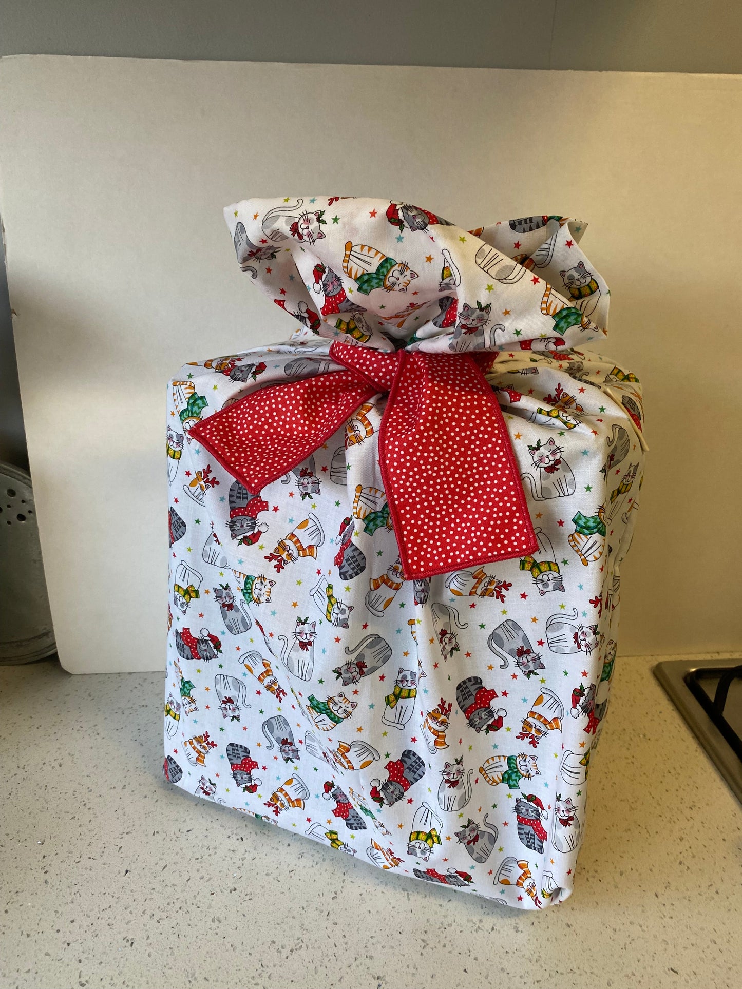 Festive Cat Sack and Ribbon